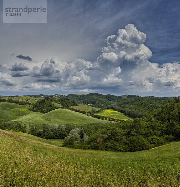 Landschaftlich schön  landschaftlich reizvoll  Europa  Hügel  grün  Feld  Toskana  Italien