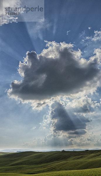 Landschaftlich schön  landschaftlich reizvoll  Europa  Wolke  Hügel  grün  Feld  Toskana  Italien