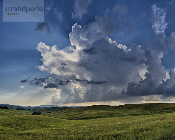 Landschaftlich schön  landschaftlich reizvoll  Europa  Wolke  Hügel  grün  Feld  Toskana  Italien