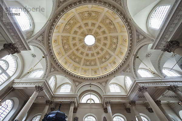 Kuppel  Zaunkönig  Troglodytes troglodytes  Europa  britisch  Großbritannien  London  Hauptstadt  Großstadt  Innenaufnahme  Kirche  Kuppelgewölbe  England