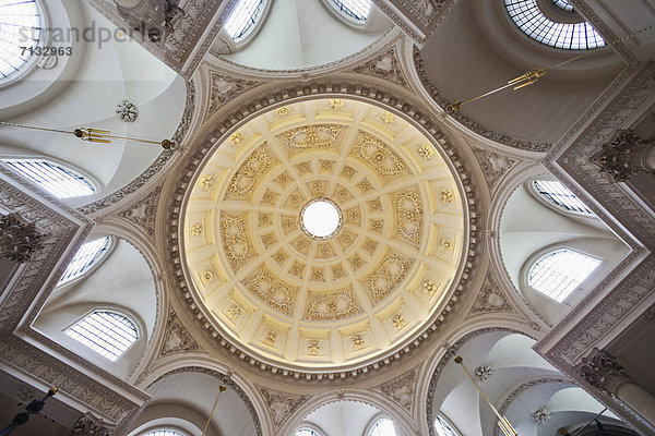 Kuppel  Zaunkönig  Troglodytes troglodytes  Europa  britisch  Großbritannien  London  Hauptstadt  Großstadt  Innenaufnahme  Kirche  Kuppelgewölbe  England