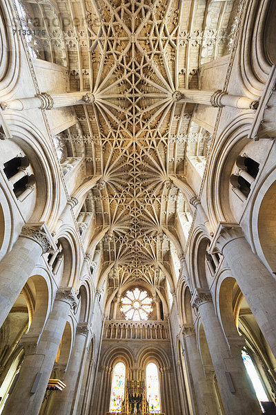 Europa  unterrichten  britisch  Großbritannien  Innenaufnahme  Kathedrale  Christentum  England  Oxford  Oxford University  Oxfordshire  Universität
