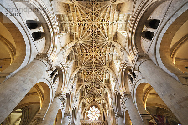 Europa  unterrichten  britisch  Großbritannien  Innenaufnahme  Kathedrale  Christentum  England  Oxford  Oxford University  Oxfordshire  Universität