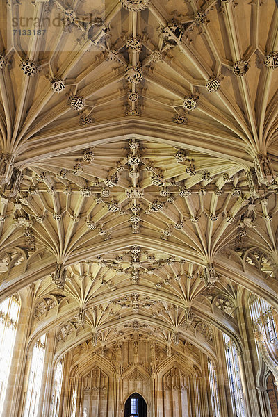 Europa  unterrichten  britisch  Großbritannien  Innenaufnahme  Bibliotheksgebäude  England  Oxford  Oxford University  Oxfordshire  Universität