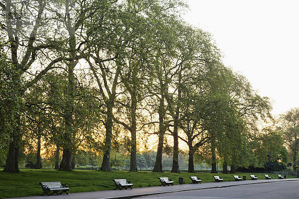 Europa  britisch  Großbritannien  London  Hauptstadt  Garten  Park  England  Kensington Gardens