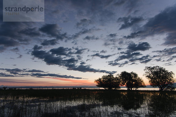 Wasser  Europa  Wolke  Landschaft  Sonnenaufgang  See  Natur  Bodensee  Österreich  Hain  Vorarlberg