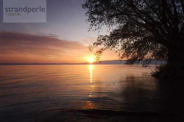 Wasser  Europa  Wolke  Baum  Landschaft  Sonnenaufgang  See  Natur  Bodensee  Österreich  Vorarlberg