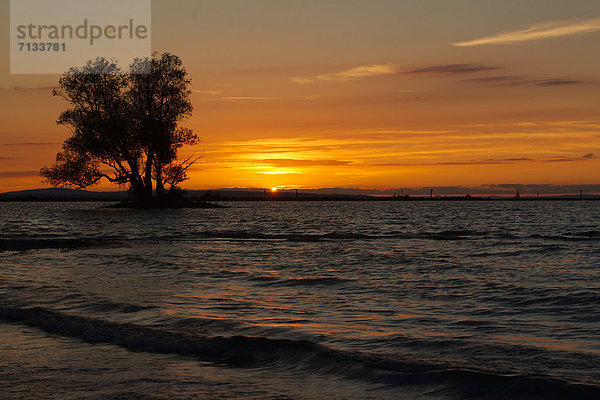 Wasser  Europa  Sonnenuntergang  Landschaft  See  Natur  Bodensee  Österreich  Vorarlberg