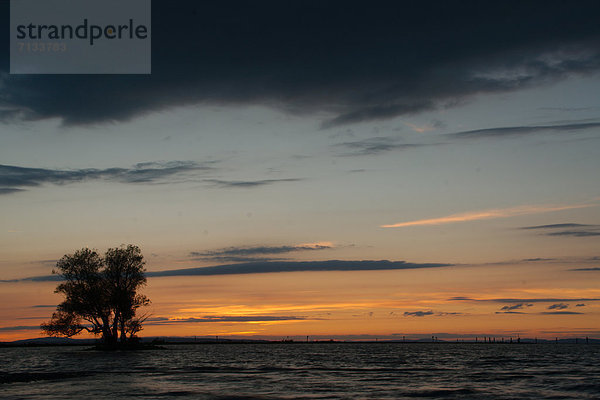 Wasser  Europa  Sonnenuntergang  Landschaft  See  Natur  Bodensee  Österreich  Vorarlberg