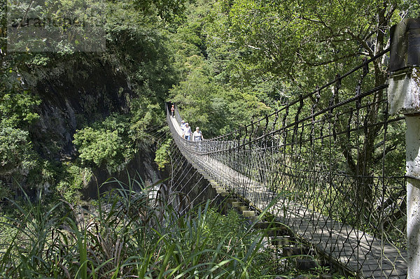 Hängebrücke  Nationalpark  Brücke  Schlucht  Asien  Taiwan