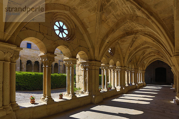 Kreuzgang  Europa  Architektur  Geschichte  Kunst  innerhalb  Katalonien  Kloster  Spanien