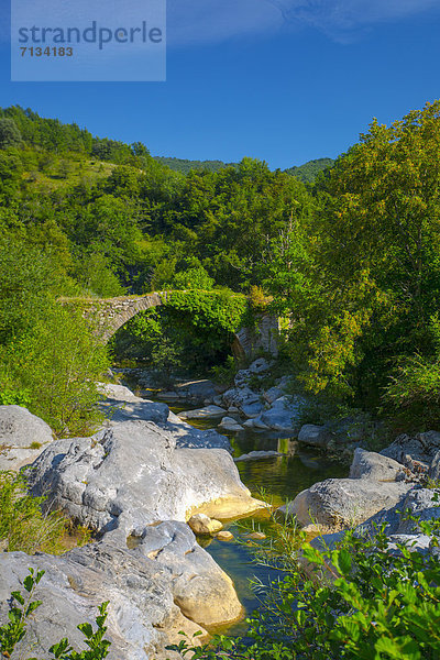 Wasser Europa Fernverkehrsstraße trocken Meer Architektur Fluss Holz Katalonien Girona alt Alte Brücke Pyrenäen Spanien