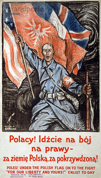 Vereinigte Staaten von Amerika  USA  Freiheit  französisch  Kampf  Soldat  Fahne  Poster  amerikanisch  polieren  britisch  polnisch  Bewerbung  Gewehr