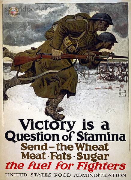 Vereinigte Staaten von Amerika  USA  Winter  rennen  Soldat  Poster  amerikanisch  Ausdauer  Gewehr