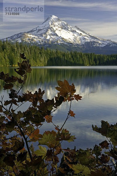 Vereinigte Staaten von Amerika USA Berg See Vulkan Kirchturm Berggipfel Gipfel Spitze Spitzen Gletscher Mount Hood Oregon