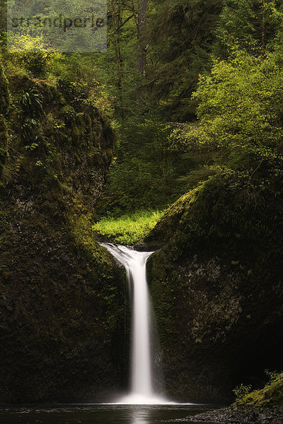 Landschaftlich schön  landschaftlich reizvoll  Wasser  Schönheit  Ereignis  Fluss  Bach  Wasserfall  Zimmer  Schlucht  Columbia River Gorge  Oregon