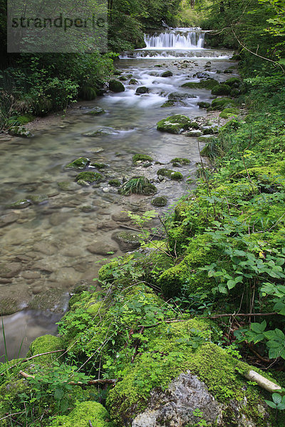Wasser  Europa  Fortbewegung  Stein  Konzept  fließen  Fluss  Bach  Kempten  Moos  Klamm  Schweiz