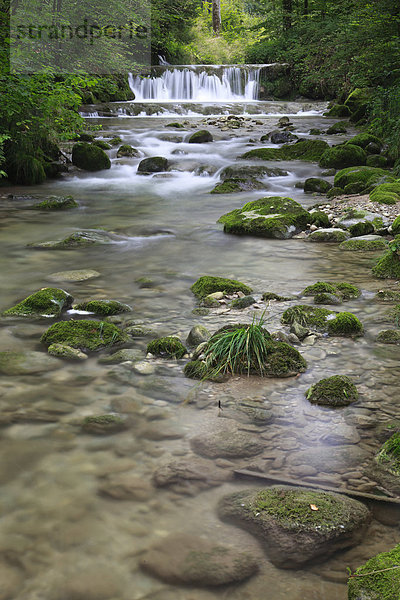 Wasser  Europa  Fortbewegung  Stein  Konzept  fließen  Fluss  Bach  Kempten  Moos  Klamm  Schweiz