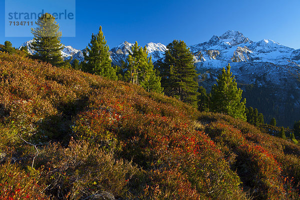 Europa  Berg  Urlaub  ruhen  Ruhe  Baum  Himmel  Reinheit  sauber  grün  niemand  Natur  Stille  Herbst  blau  rot  Ansicht  Tirol  Österreich  Rest  Überrest  Schnee