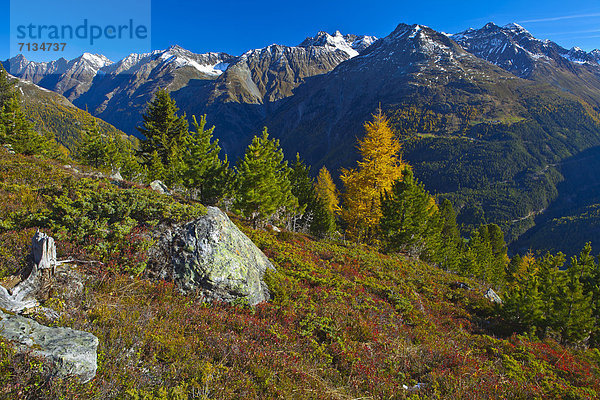 Europa  Berg  Urlaub  Botanik  Baum  gelb  Himmel  Ziel  Natur  Alpen  Herbst  blau  rot  Ansicht  Tirol  Lärche  Österreich  Schnee
