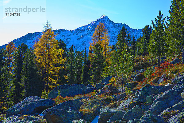 Europa  Berg  Stein  ruhen  Reise  Ruhe  Baum  gelb  Himmel  grün  Natur  Stille  Alpen  Herbst  blau  rot  Tirol  Lärche  Österreich  Rest  Überrest  Schnee