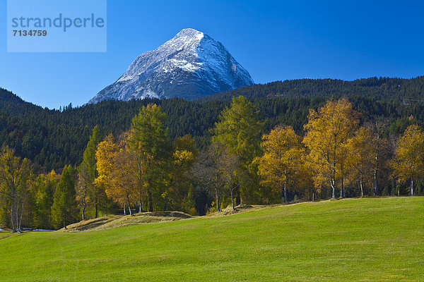 Europa Berg Urlaub ruhen Reise Ruhe gelb Himmel grün niemand Wald Holz Stille Herbst blau Wiese Birke Tirol Österreich Rest Überrest Schnee Tourismus