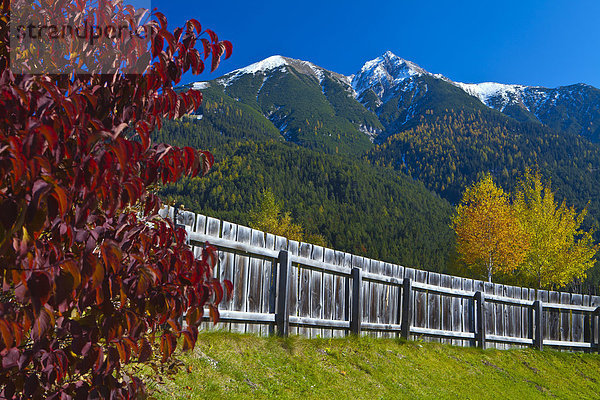Europa Berg Berggipfel Gipfel Spitze Spitzen Urlaub Reise gelb grün Wald weiß Holz Herbst blau Zaun rot Wiese zeigen Birke Tirol Karwendelgebirge Österreich Schnee