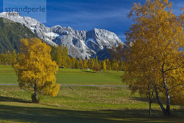 Europa  Berg  Urlaub  ruhen  Reise  Ruhe  gelb  Himmel  sauber  grün  Natur  Stille  Herbst  blau  Wiese  Birke  Hochebene  Tirol  Österreich  Rest  Überrest  Schnee
