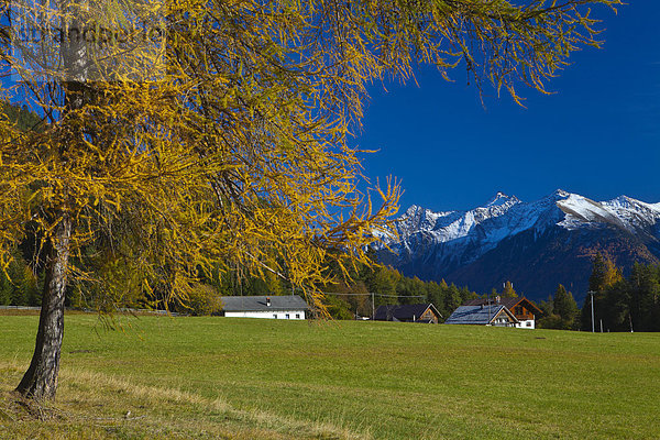 Europa Berg Urlaub ruhen Wohnhaus Reise Ruhe gelb Gebäude grün weiß Natur Stille Alpen Herbst blau Wiese Ansicht Hochebene Tirol Lärche Österreich Rest Überrest Schnee
