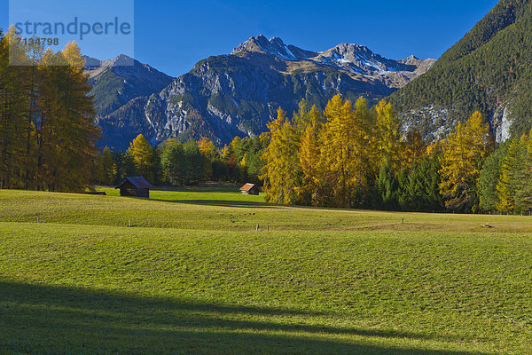 Europa  Berg  Urlaub  ruhen  Reise  Ruhe  Baum  Himmel  grün  Natur  Stille  blau  Wiese  Hochebene  Tirol  Österreich  Lechtaler Alpen  Rest  Überrest