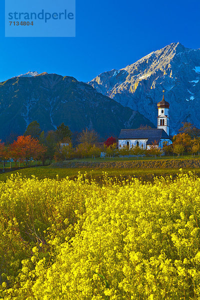 hoch  oben  Farbaufnahme  Farbe  Europa  Berg  Urlaub  ruhen  Reise  Ruhe  Baum  gelb  Himmel  Natur  Kirche  Stille  Heiligtum  blau  Wiese  Hochebene  Tirol  Rapsfeld  Österreich  Rest  Überrest