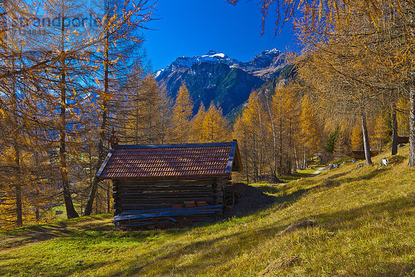 Europa  Berg  Urlaub  ruhen  Reise  Ruhe  grün  Landwirtschaft  Stille  blau  rot  Wiese  Tirol  Lärche  Österreich  Rest  Überrest  Schnee