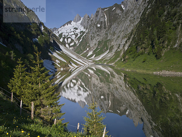 Gebirge Felsbrocken Wasser Europa Berg europäisch Baum Steilküste Spiegelung See Alpen steil Nadelbaum Bergsee schweizerisch Schweiz
