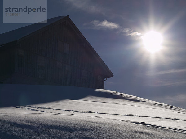 Hütte  Winter  Alpen  Gegenlicht  Schnee  Sonne  Schweiz