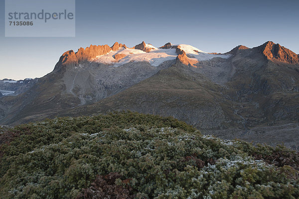 Berg  Eis  groß  großes  großer  große  großen  Alpen  Geißhorn