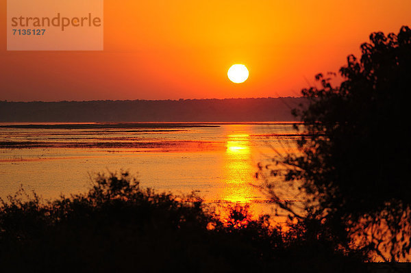 Nationalpark  Sonnenaufgang  Fluss  rot  Afrika  Botswana  Sonne
