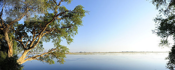 Nationalpark  Panorama  Wasser  Ecke  Ecken  Baum  Querformat  Fluss  Afrika  Botswana