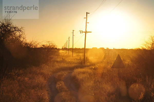 Wärme  Querformat  Feld  Metalldraht  Elektrizität  Strom  Namibia  Afrika  Abenddämmerung