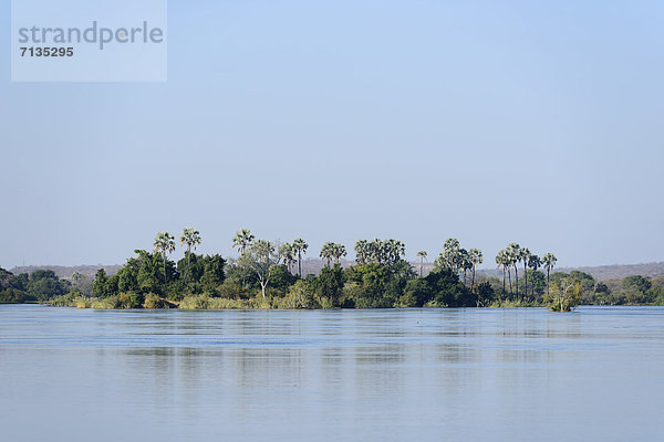 Baum  Fluss  Insel  Palme  Weite  Afrika