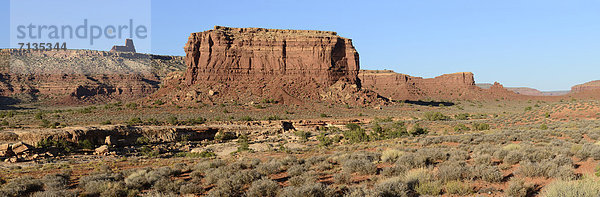 Vereinigte Staaten von Amerika  USA  Panorama  Amerika  Wüste  Colorado Plateau  Sandstein  Utah