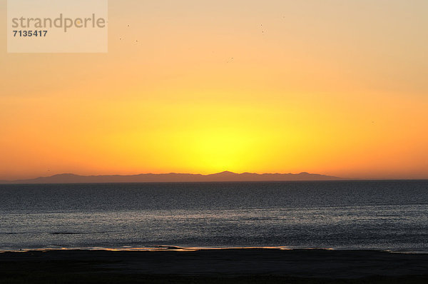 Vereinigte Staaten von Amerika USA Amerika Strand Sonnenuntergang Glut Horizont groß großes großer große großen Antelope Island Salzsee Sonne Utah