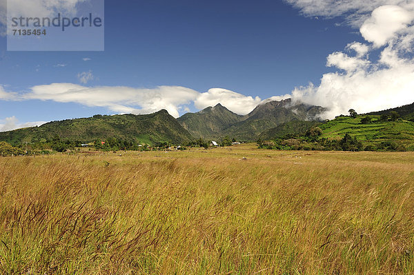 Landschaft  Feld  Mittelamerika  Panama