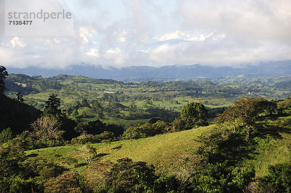 Landschaft  grün  Mittelamerika  Wiese  Ansicht  Panama