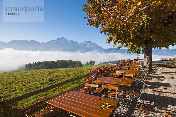 Kastanienbaum  Kastanie  Castanea  Panorama  Landschaftlich schön  landschaftlich reizvoll  Europa  Schreibtisch  Landwirtschaft  Herbst  Wiese  Terrasse  Laub  Tisch  Bayern  Berchtesgaden  Deutschland  Oberbayern