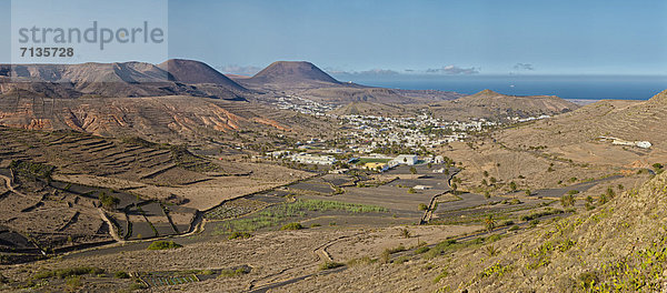 Berg  Sommer  Baum  Hügel  Großstadt  Dorf  Kanaren  Kanarische Inseln  1000  Haria  Lanzarote  Spanien