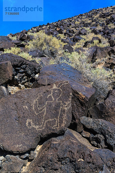 National Monument  Petroglyphe