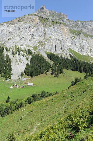 Europa  Berg  Landwirtschaft  Wiese  Schweiz