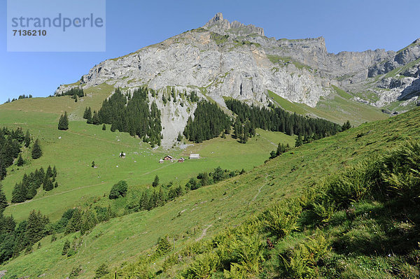 Europa  Berg  Landwirtschaft  Wiese  Schweiz