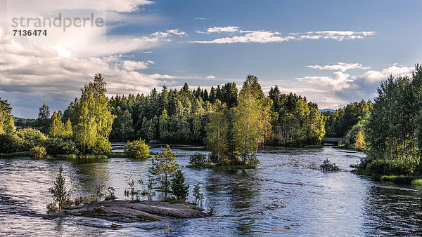 Wasserrand Wasser Wolke Himmel Wald Natur Fluss Holz Norwegen Buskerud Skandinavien skandinavisch