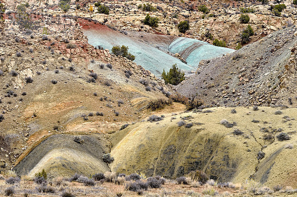 Durch Mineralien gefärbte Sandstrukturen  Salt Valley  Arches-Nationalpark  Moab  Utah  USA